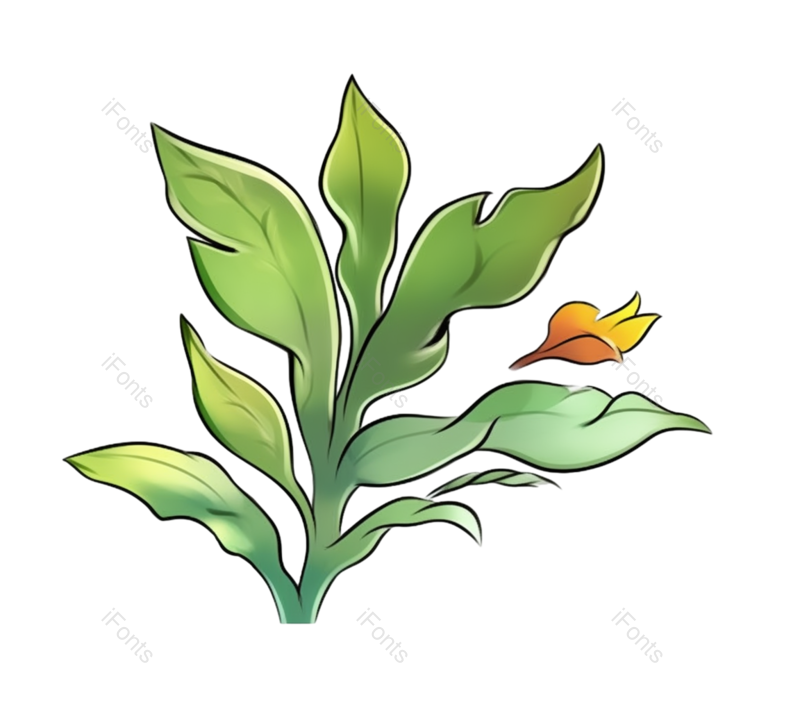 叶子图片,装饰元素,金融PNG,母亲节免抠素材